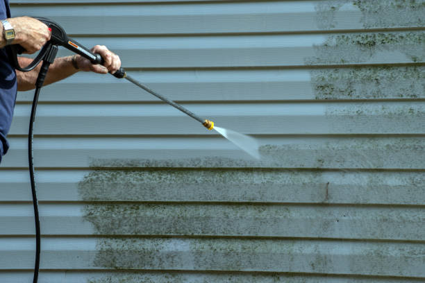 Best Graffiti Removal Services in Scenic Oaks, TX